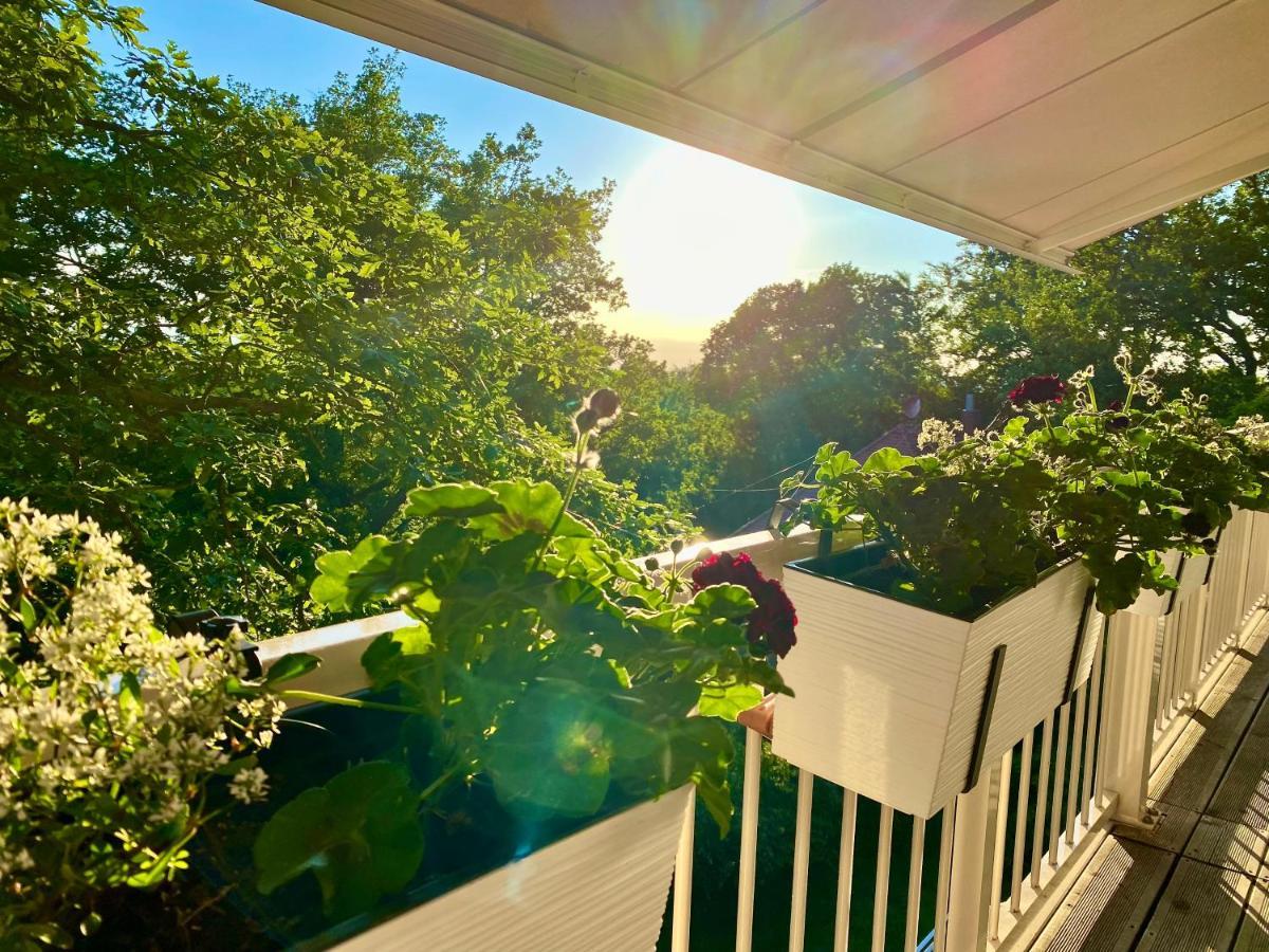 Ferienwohnung Natur Und Kunst Drezda Kültér fotó