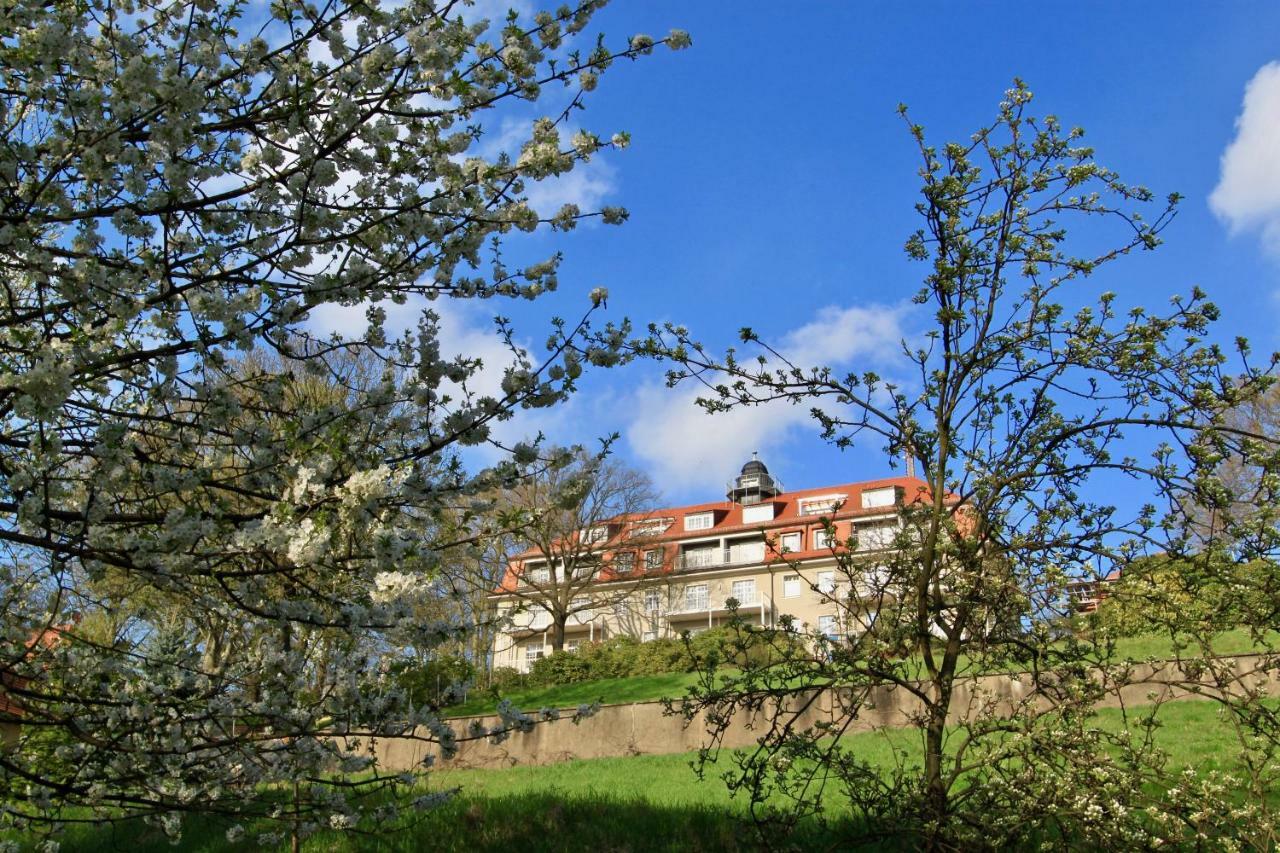 Ferienwohnung Natur Und Kunst Drezda Kültér fotó
