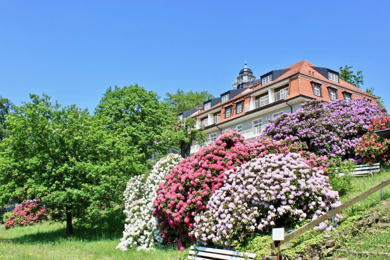 Ferienwohnung Natur Und Kunst Drezda Kültér fotó