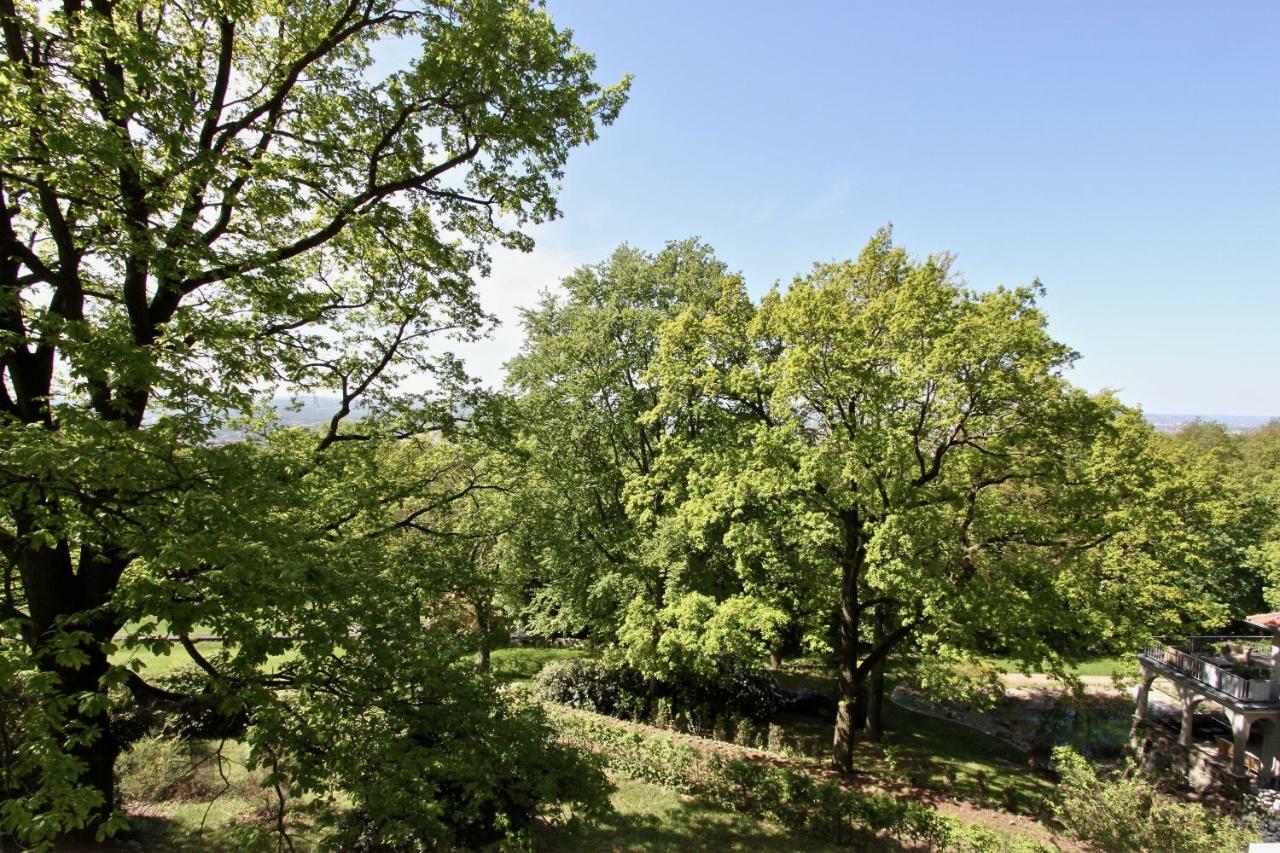Ferienwohnung Natur Und Kunst Drezda Kültér fotó
