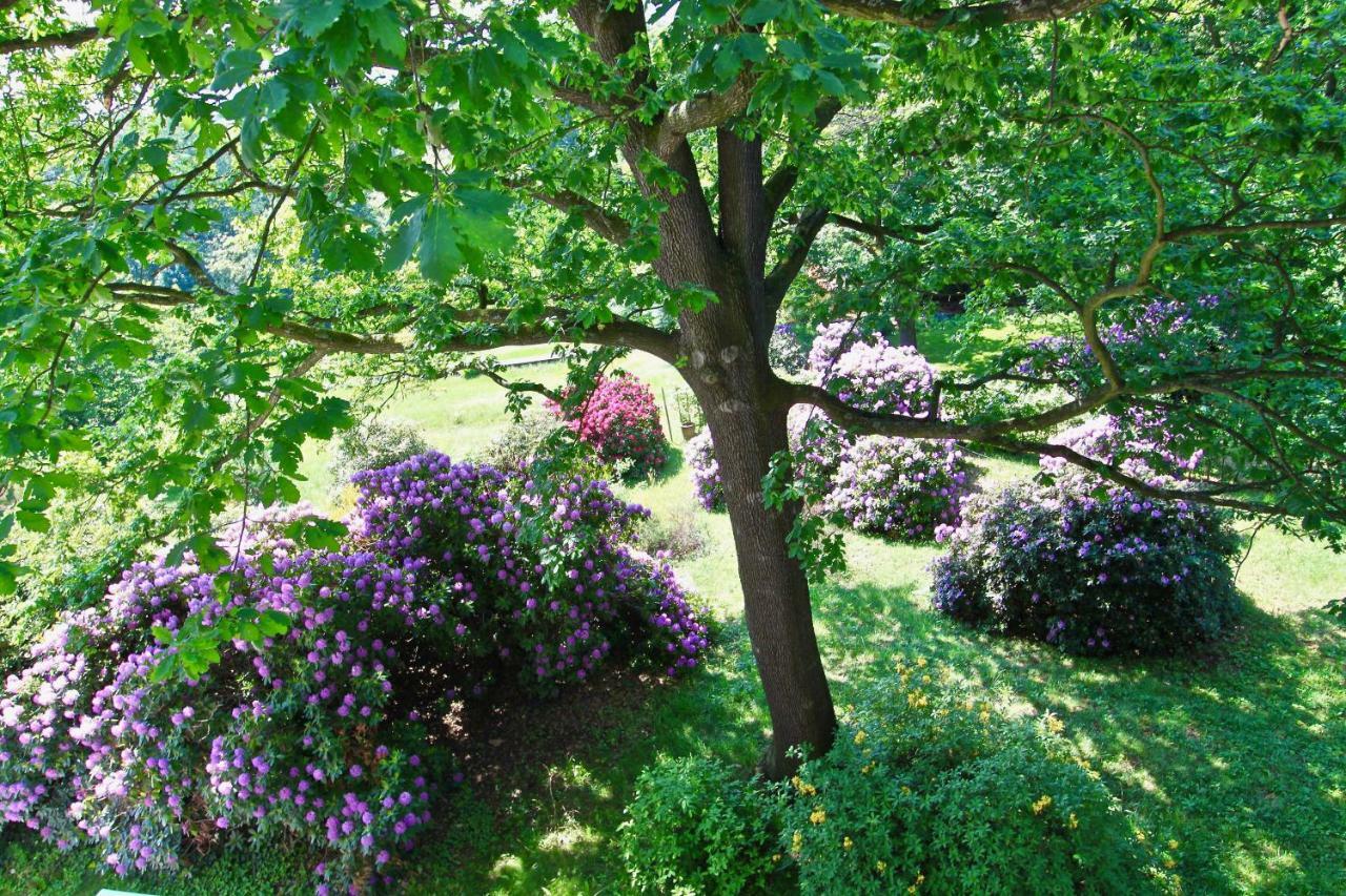 Ferienwohnung Natur Und Kunst Drezda Kültér fotó