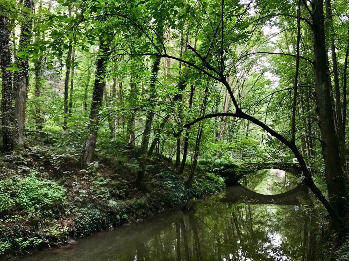 Ferienwohnung Natur Und Kunst Drezda Kültér fotó