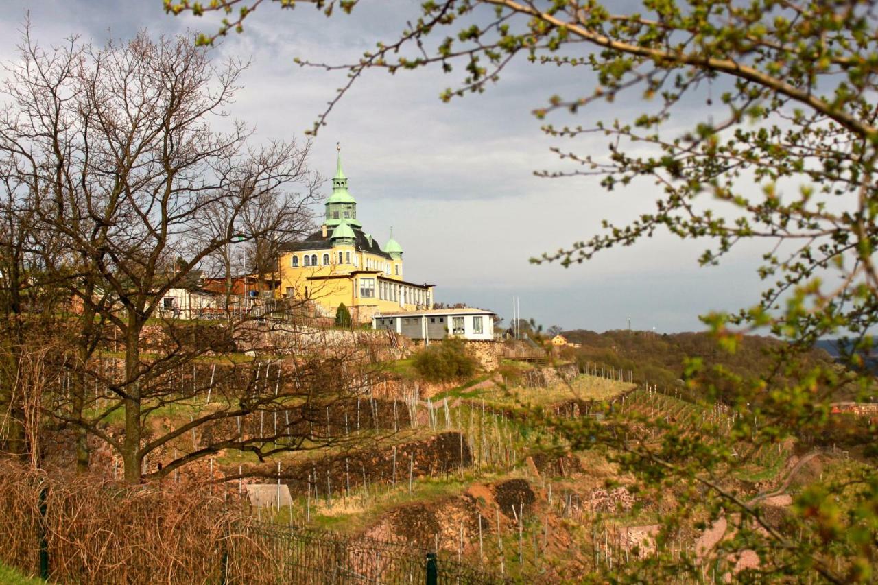 Ferienwohnung Natur Und Kunst Drezda Kültér fotó