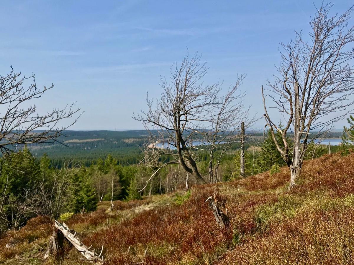 Ferienwohnung Natur Und Kunst Drezda Kültér fotó