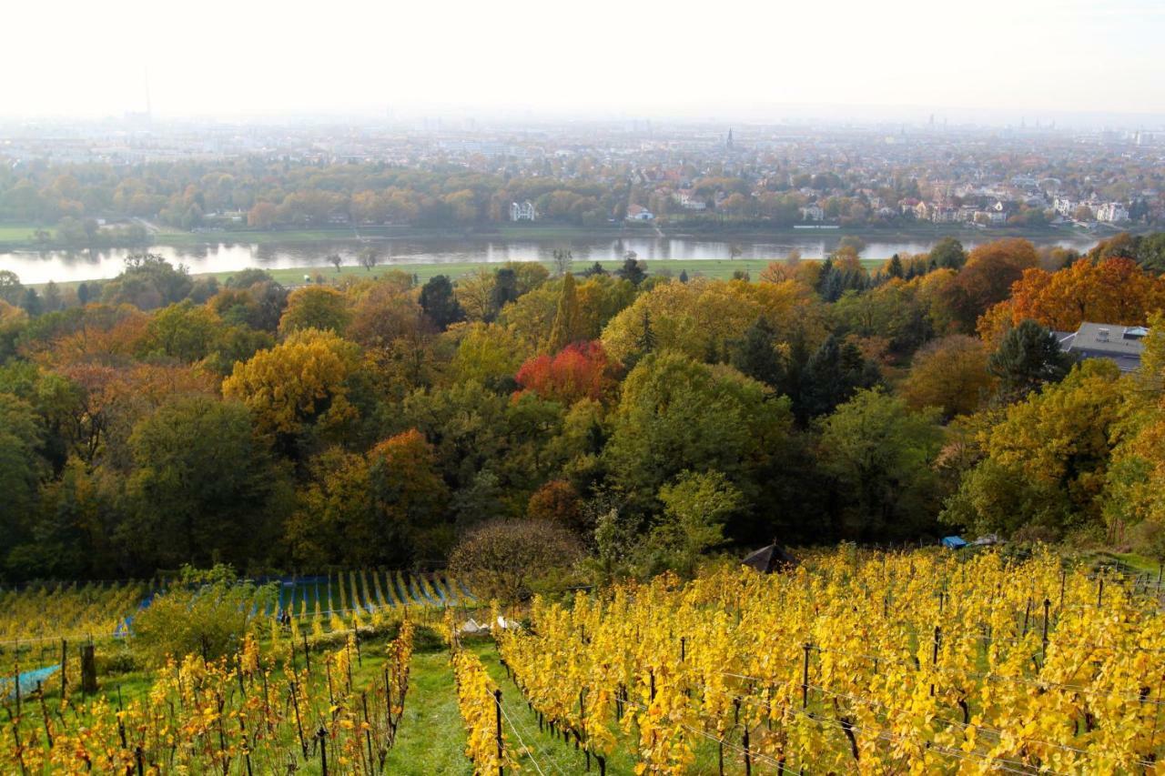 Ferienwohnung Natur Und Kunst Drezda Kültér fotó