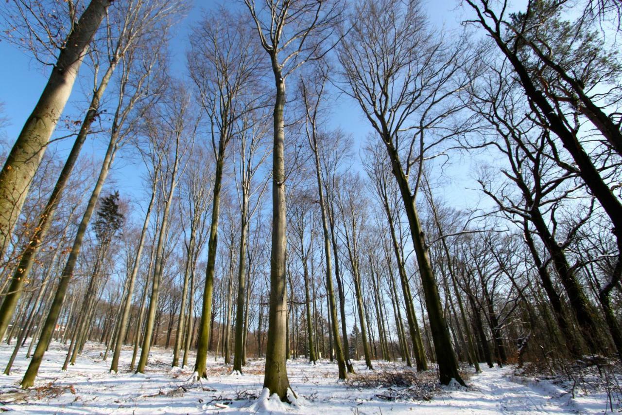 Ferienwohnung Natur Und Kunst Drezda Kültér fotó